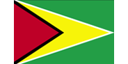 GUYANA Flag of GUYANA